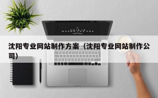 分宜沈阳专业网站制作方案（沈阳专业网站制作公司）